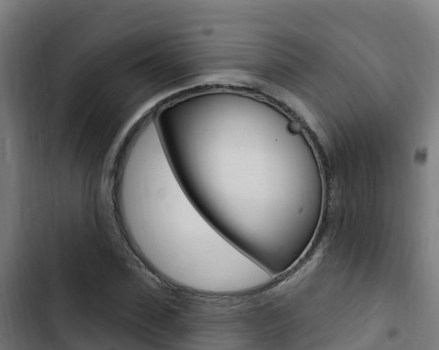 X0000103440923200809121057