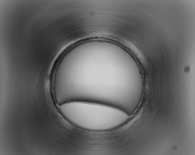 X0000103440924200809121057
