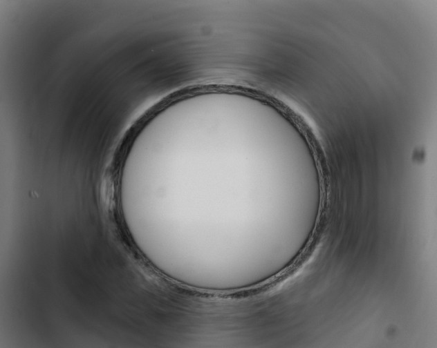 X0000103440925200809121057