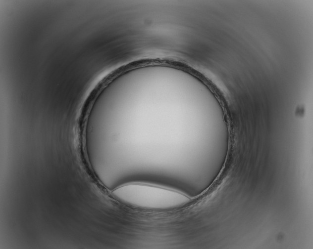 X0000103440927200809121057