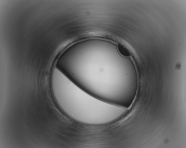 X0000103440930200809121057