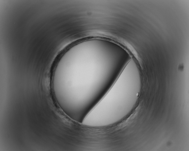 X0000103440931200809121057