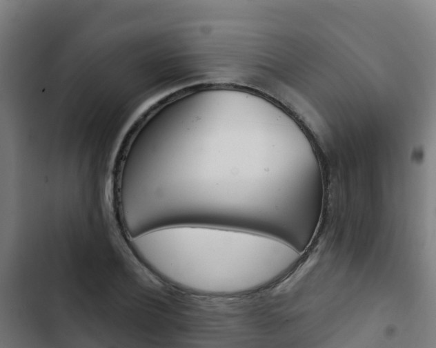 X0000103440932200809121057