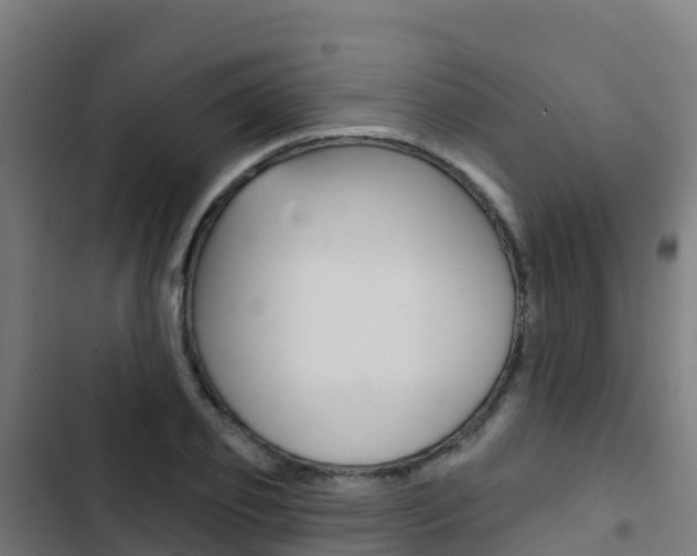 X0000103440933200809121057
