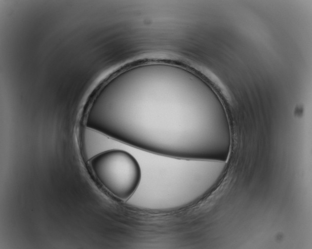 X0000103440935200809121057