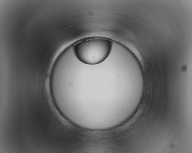 X0000103440936200809121057