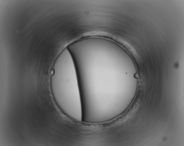 X0000103440937200809121058