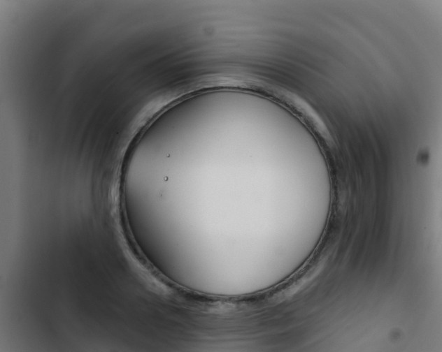 X0000103440938200809121058