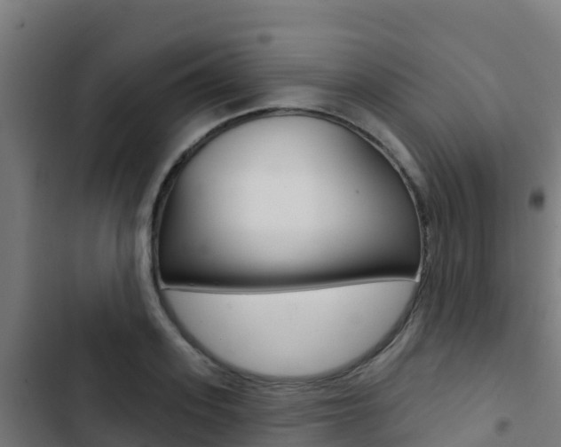 X0000103440939200809121058