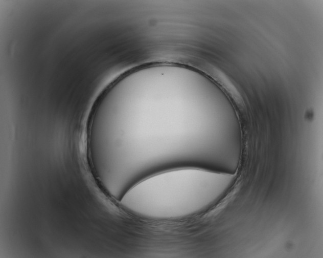 X0000103440940200809121058