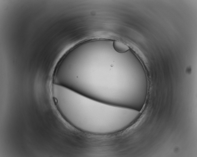 X0000103440941200809121058