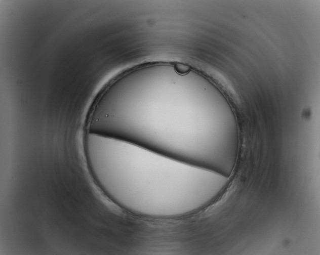 X0000103440942200809121058