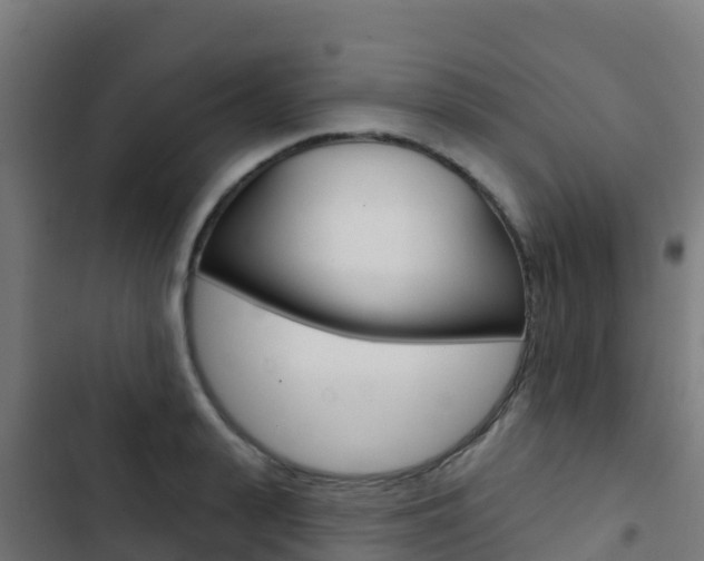 X0000103440943200809121058