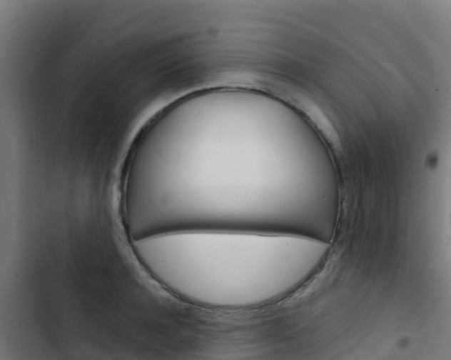 X0000103440944200809121058