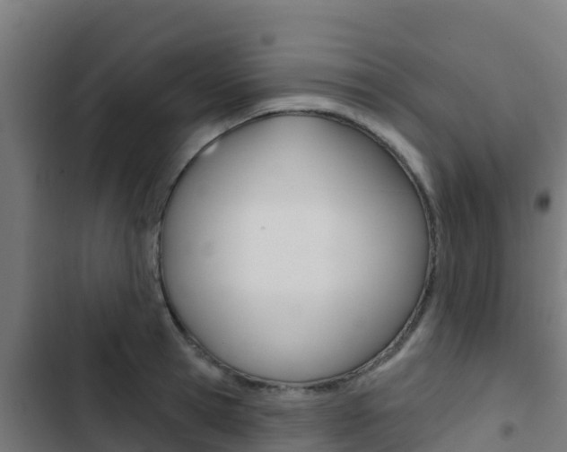 X0000103440945200809121058