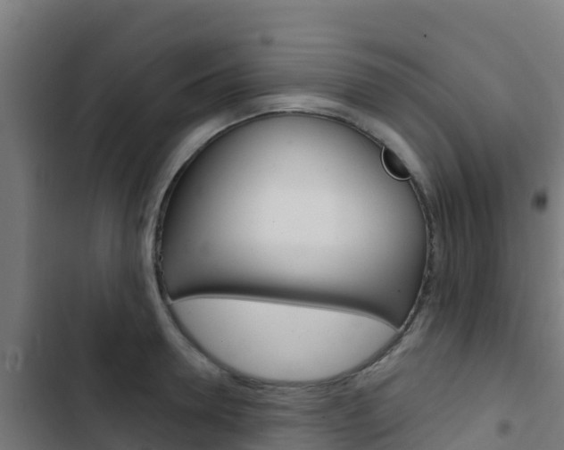 X0000103440946200809121058