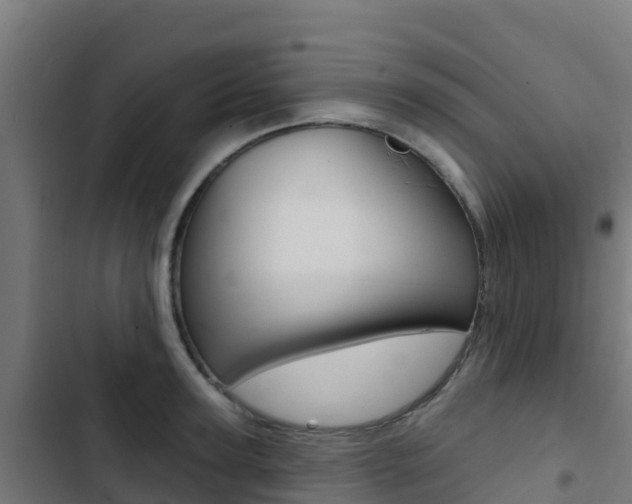 X0000103440947200809121058