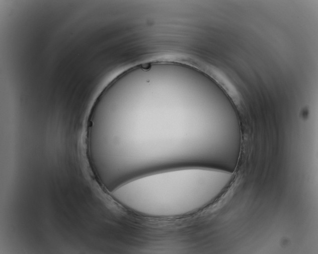 X0000103440948200809121058