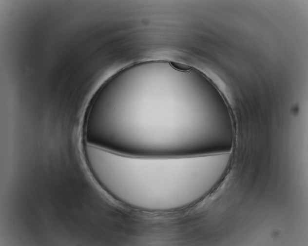 X0000103440949200809121058