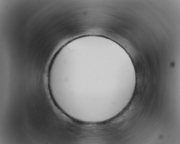 X0000103440950200809121058
