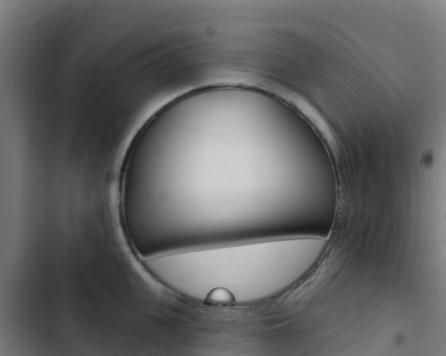 X0000103440951200809121058