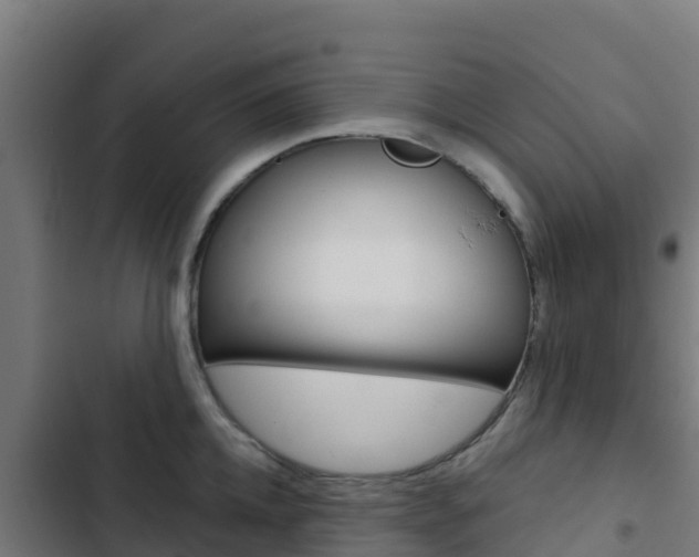 X0000103440952200809121058