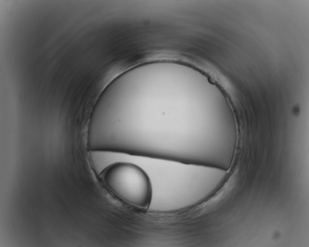 X0000103440953200809121058