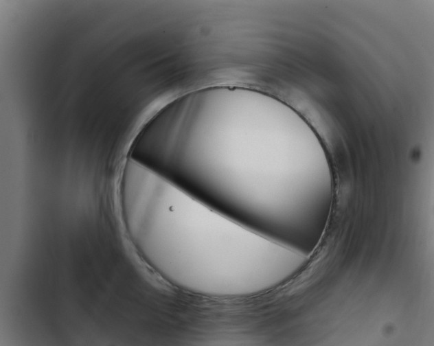 X0000103440954200809121058