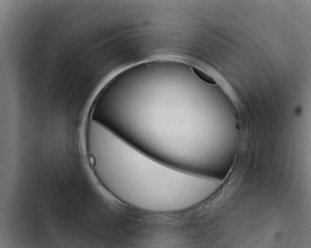 X0000103440955200809121058