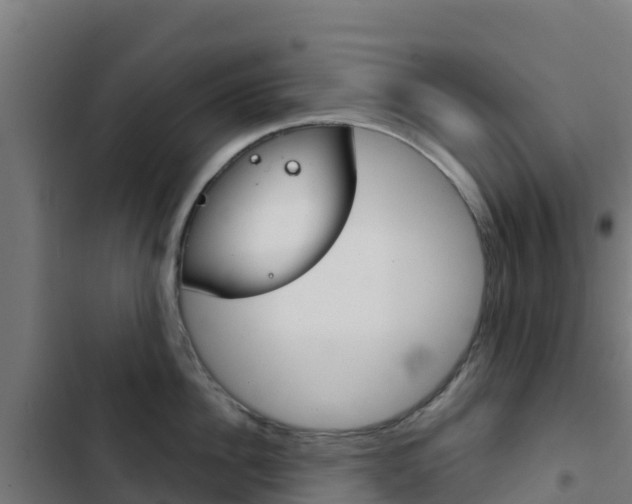 X0000103440956200809121058