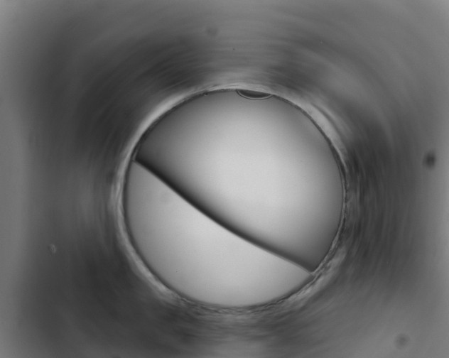 X0000103440957200809121058
