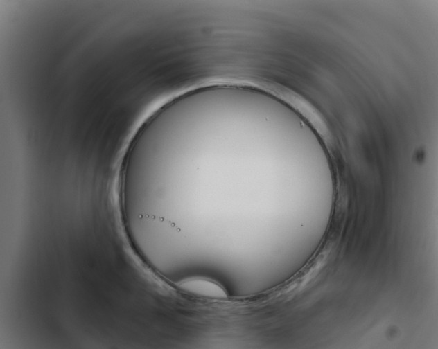 X0000103440958200809121058