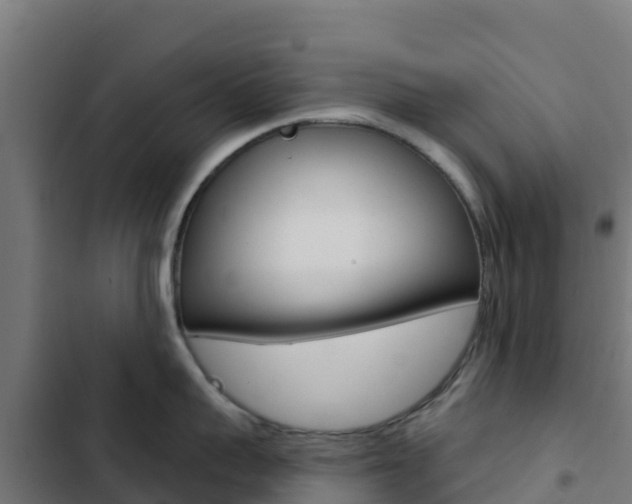 X0000103440959200809121058
