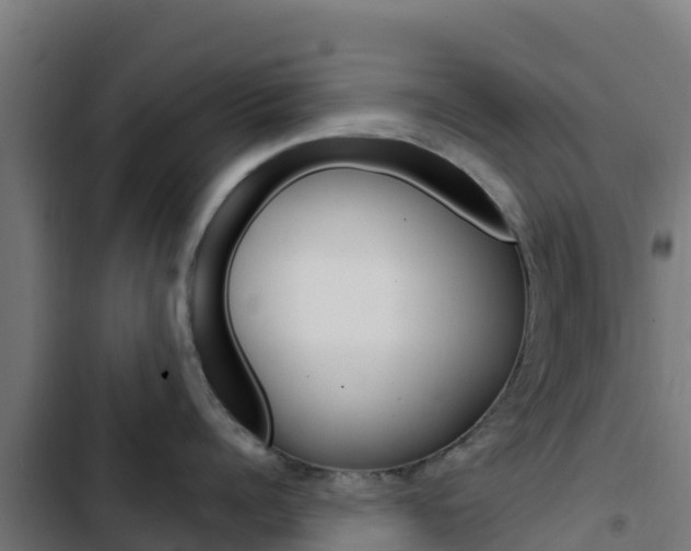 X0000103440960200809121058
