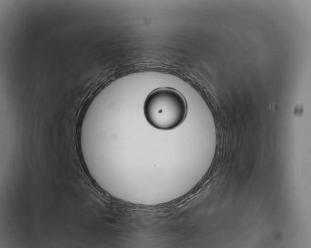 X0000103440961200809121057