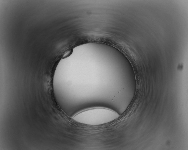 X0000103440964200809121057