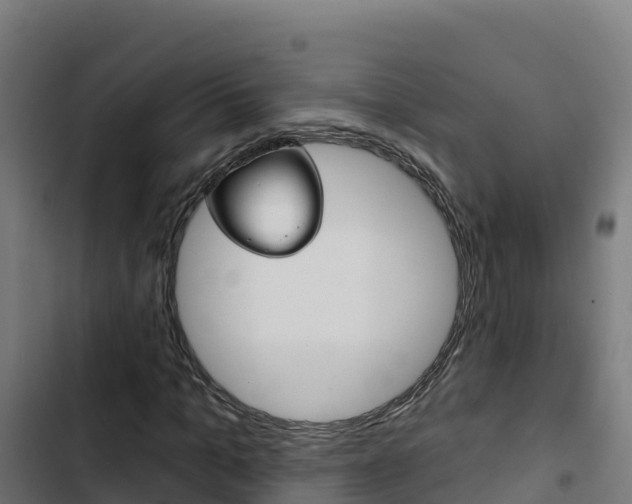 X0000103440965200809121057