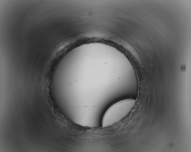 X0000103440967200809121057