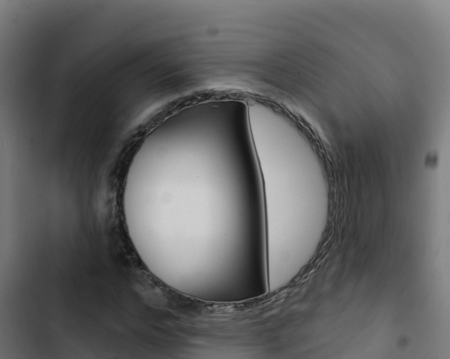 X0000103440968200809121057