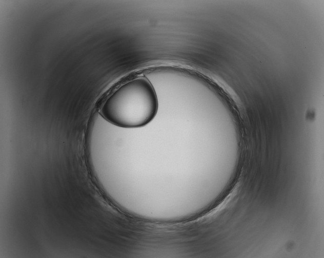 X0000103440969200809121057