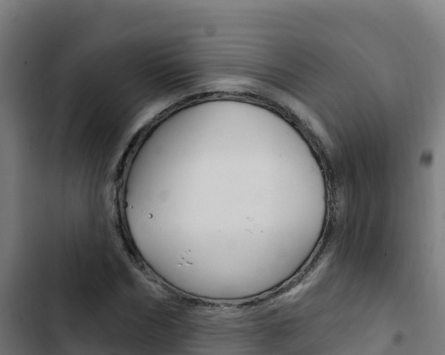 X0000103440970200809121057