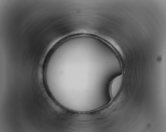 X0000103440972200809121057