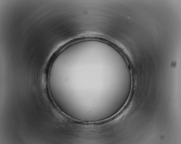 X0000103440973200809121057