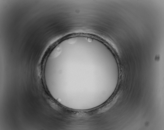 X0000103440974200809121057
