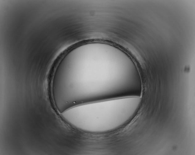 X0000103440975200809121057
