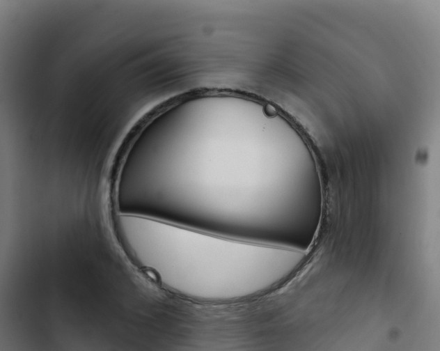 X0000103440976200809121057