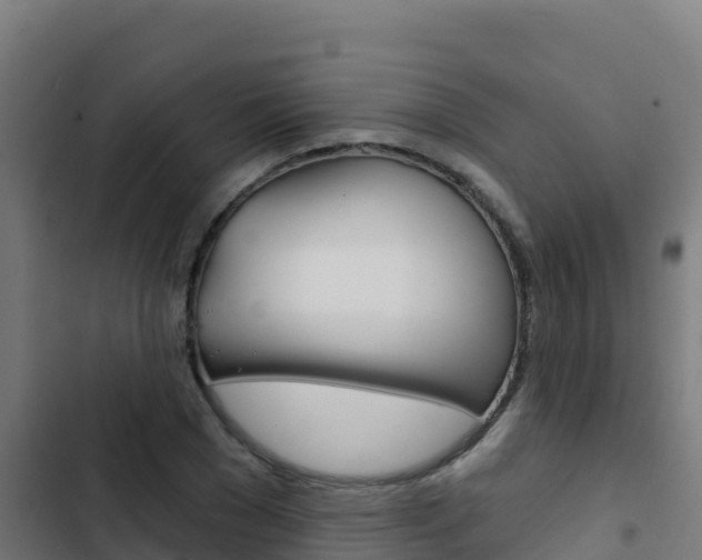 X0000103440977200809121057