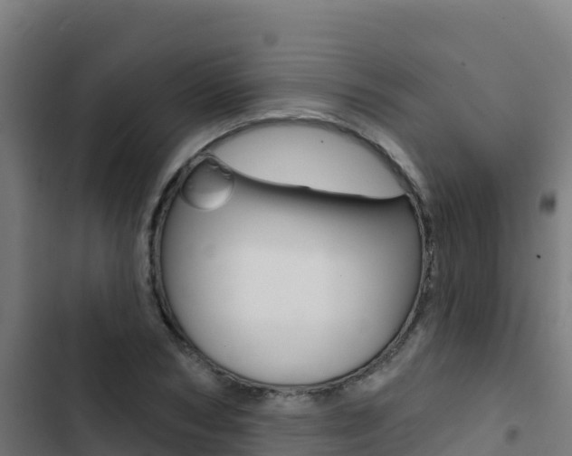 X0000103440978200809121057
