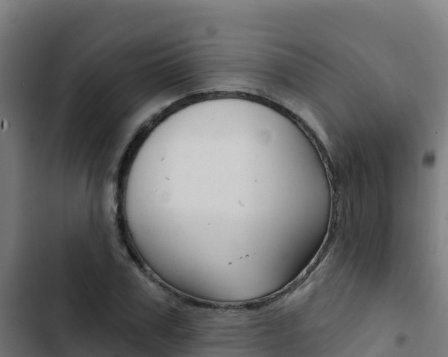 X0000103440979200809121057