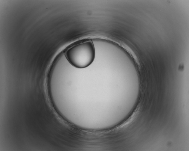 X0000103440981200809121057